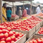 Ghana Welcomes Burkina Faso’s Move to Resume Tomato Exports