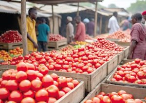 Ghana Welcomes Burkina Faso’s Move to Resume Tomato Exports