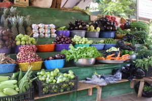 Study Finds Toxic Metals in Vegetables Grown in Ghana’s Galamsey-Affected Districts